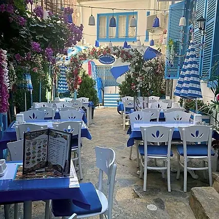 Mavi Istanbul